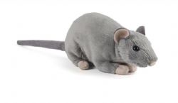 PELUCHE - RAT AVEC COUINEMENT